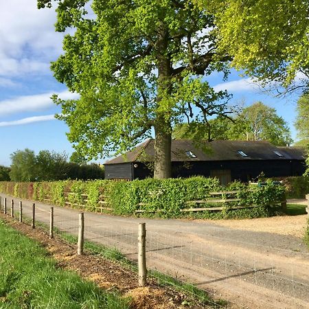 Micheldever Mulberry Barn Bed & Breakfast エクステリア 写真