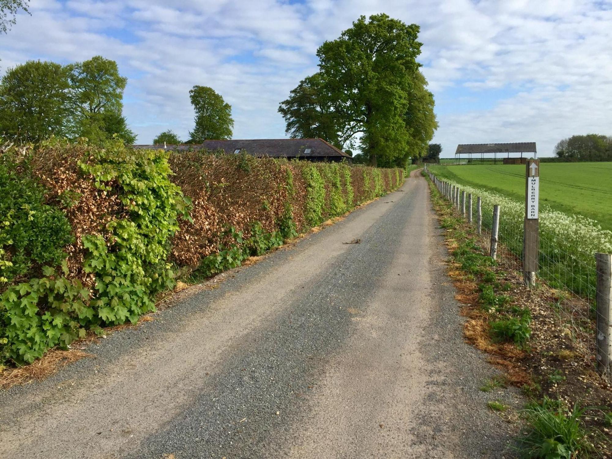 Micheldever Mulberry Barn Bed & Breakfast エクステリア 写真